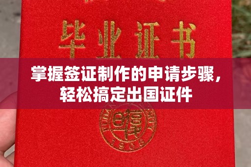 修文掌握签证制作的申请步骤，轻松搞定出国证件